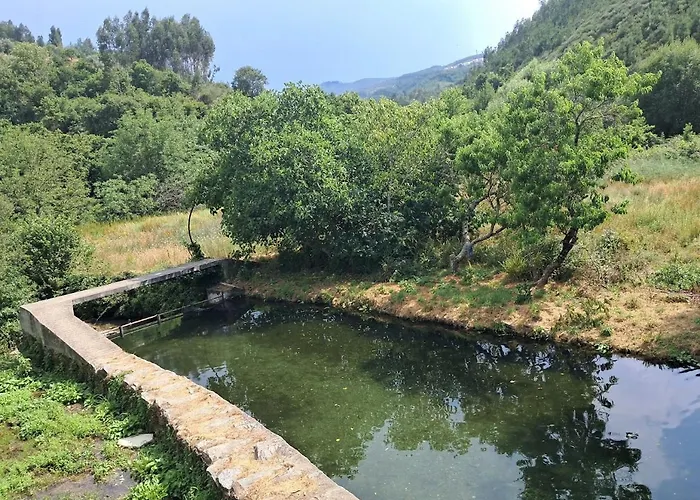 Al Rossadas Queiro アルガニル